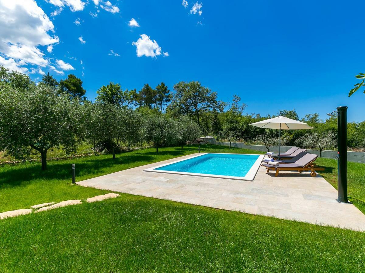 Pool Premium Apartment Vrsar Exteriör bild
